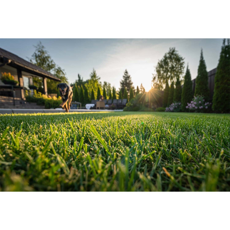 Mammotion LUBA 3 AWD 1500 robotická sekačka